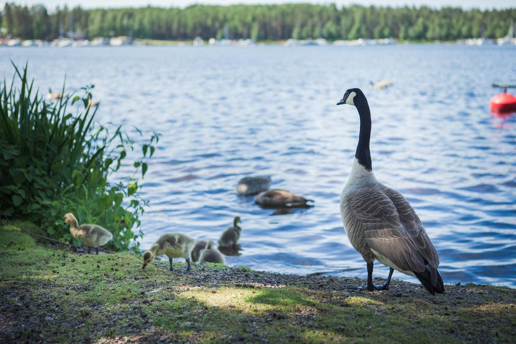 Finlandia Hotel Imatran Kylpylae Spa Eksteriør bilde